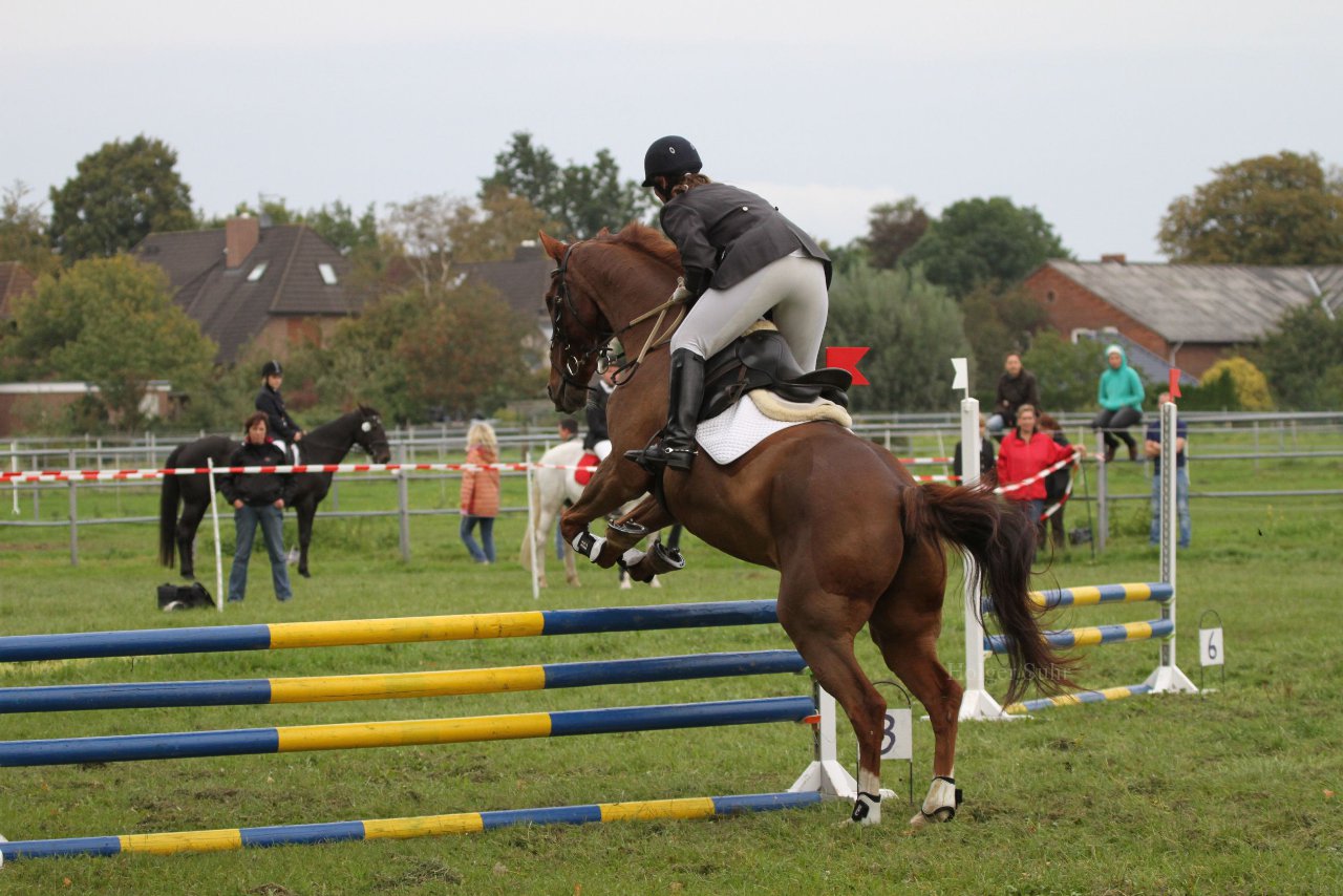 Bild 1463 - WBO-Turnier am 18.9.11